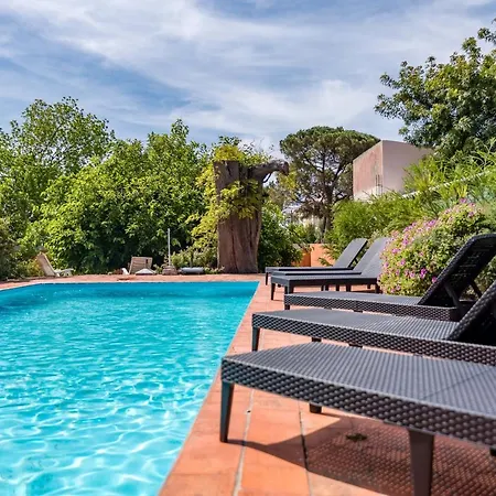 Guest house Vip House - Pool & In Caparica *