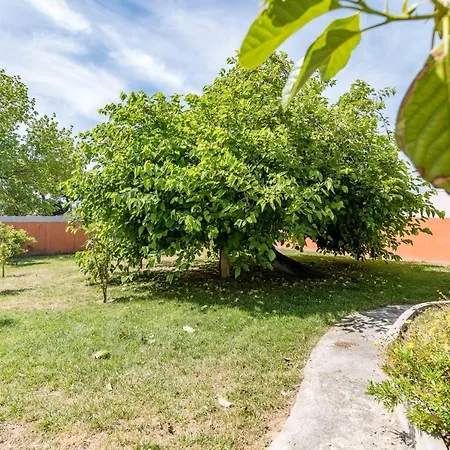 Guest house Vip House - Pool & In Caparica Charneca (Setubal)