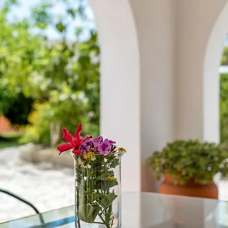 Vip House - Pool & In Caparica